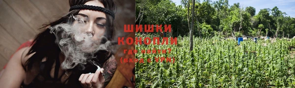 ГАЛЛЮЦИНОГЕННЫЕ ГРИБЫ Алзамай