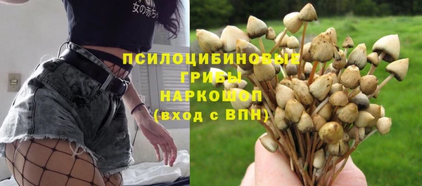 синтетический гашиш Алексин