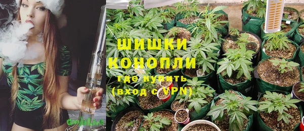 ГАЛЛЮЦИНОГЕННЫЕ ГРИБЫ Алзамай