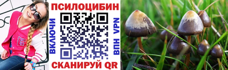 закладки  Невьянск  Псилоцибиновые грибы MAGIC MUSHROOMS 
